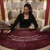 Blackjack VIP 15 screenshot