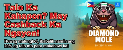 88jili Casino Platform Feature