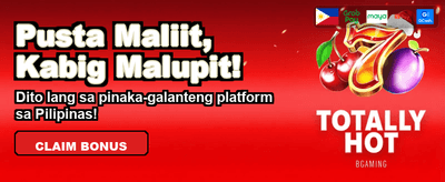 Premium Casino Gaming Experience